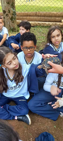 Bicho Mania 2022